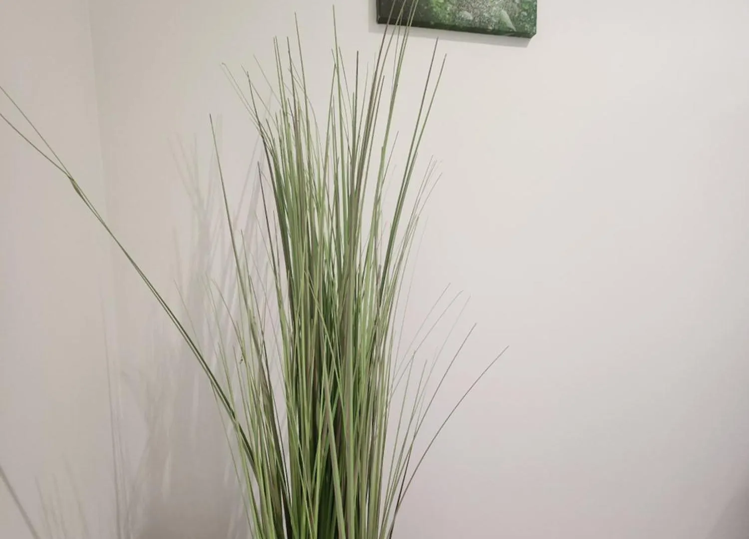 Longsap, Paisible Appartement Seysses 프랑스